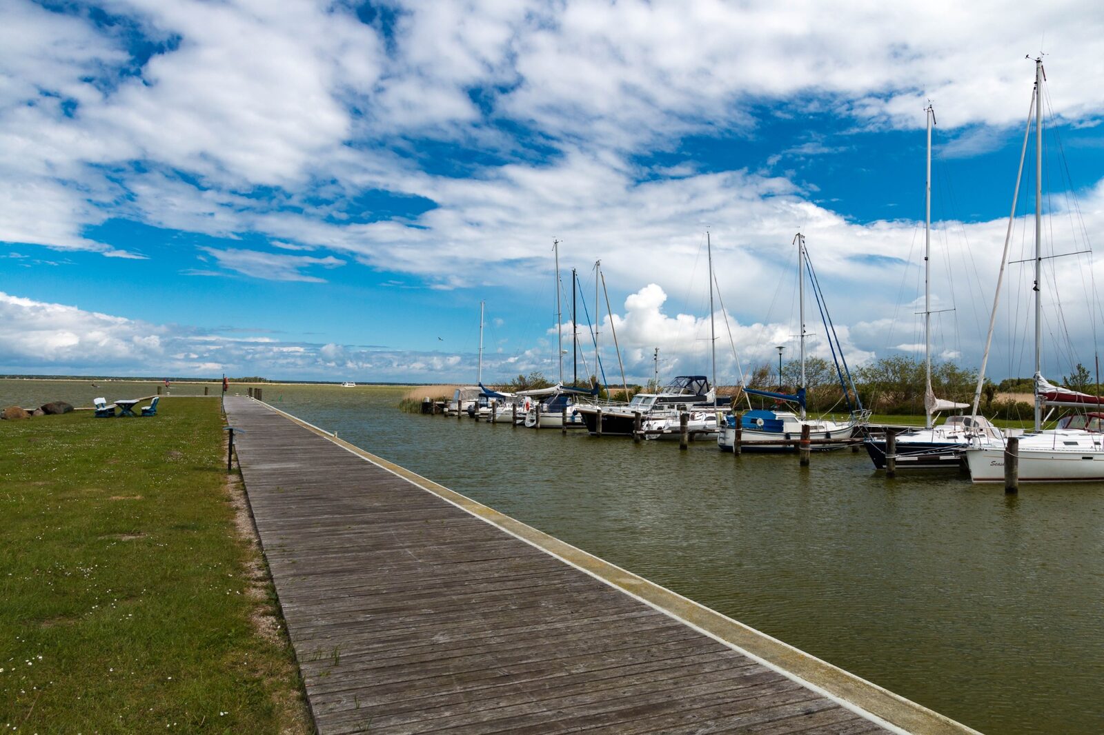 Steg am Saaler Bodden